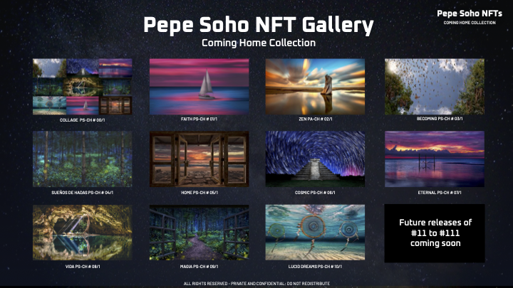 Sample pitch presentation in digital and print formats. Art by Pepe Soho. Design and content creation by LW Petersen.