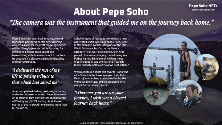 Sample pitch presentation in digital and print formats. Art by Pepe Soho. Design and content creation by LW Petersen.